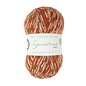 WYS Signature 4 Ply Christmas Yarn