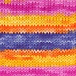 ESTELLE Evolution Sock