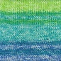 ESTELLE Evolution Sock