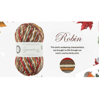 WYS Signature 4 Ply Christmas Yarn