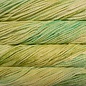 Malabrigo Malabrigo Vientos