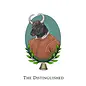 Woolerton Estate Yarns Woolerton The Distinguished