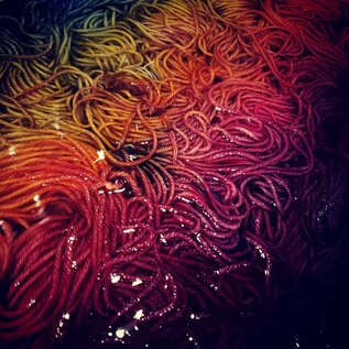 Dyeing with Dragons Full Day Workshop