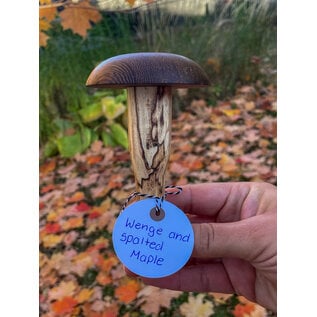 Darning Mushrooms for Charity