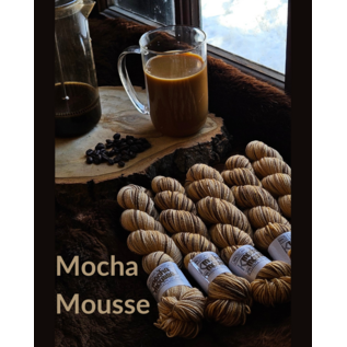 Koigu Koigu Collector Colours on KPPPM Mocha Mousse (Jan 2025)