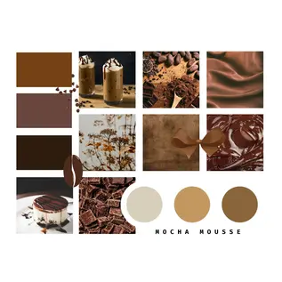 Koigu Koigu Collector Colours on KPPPM Mocha Mousse (Jan 2025)