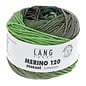 LANG Lang Merino 120 Degrade
