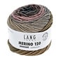 LANG Lang Merino 120 Degrade