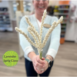 Lavender Sprigs Class
