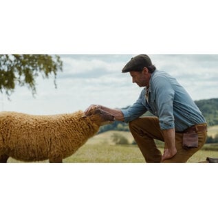 Sheep Detectives Movie Screening