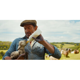 Sheep Detectives Movie Screening