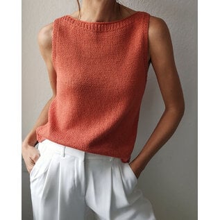 SABAI Top Workshop