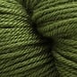 ESTELLE Estelle Double Knit in New Colours