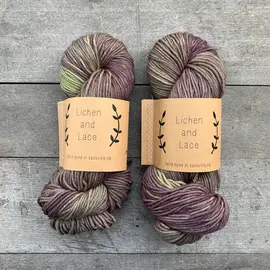 Lichen and Lace Lichen & Lace 80/20 Sock Variegated Colours