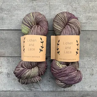 Lichen and Lace Lichen & Lace 80/20 Sock Variegated Colours