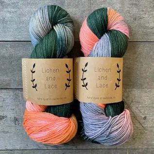 Lichen and Lace Lichen & Lace 80/20 Sock Variegated Colours