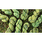 SALE Koigu Collector Colours