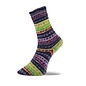 Pro Lana Pro Lana Yarns Fjord Socks Puzzle
