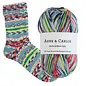 Arne & Carlos The Painted House Collection