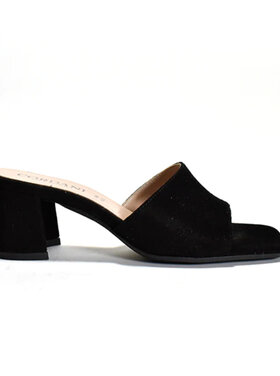 Cordani Cordani Irene