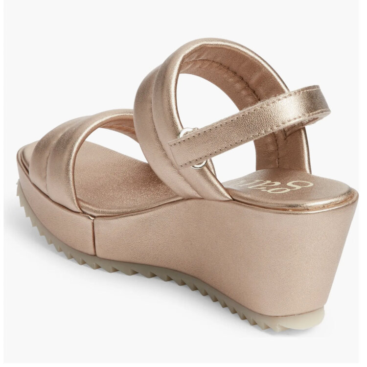 Pedro Garcia Pedro Garcia Fioralba