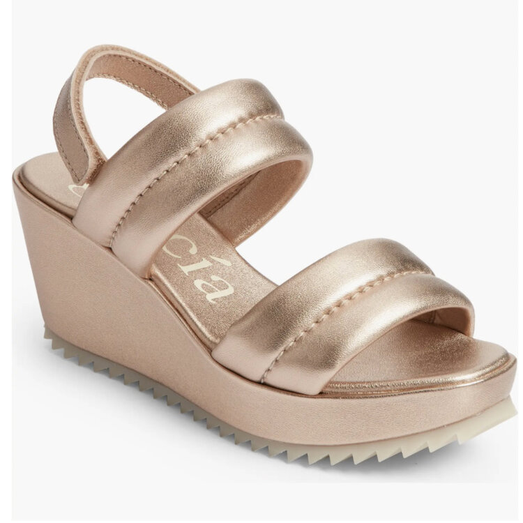 Pedro Garcia Pedro Garcia Fioralba