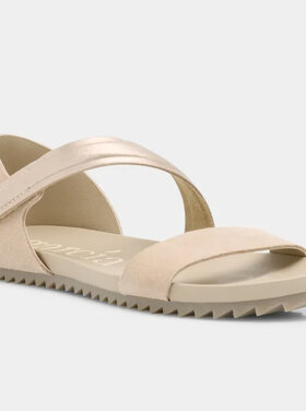 Pedro Garcia Pedro Garcia Jalila