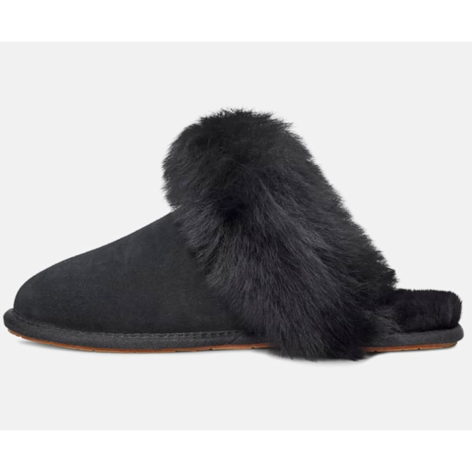 Ugg Scuff Sis - CK Collection Ugg Scuff Sis - CK Collection