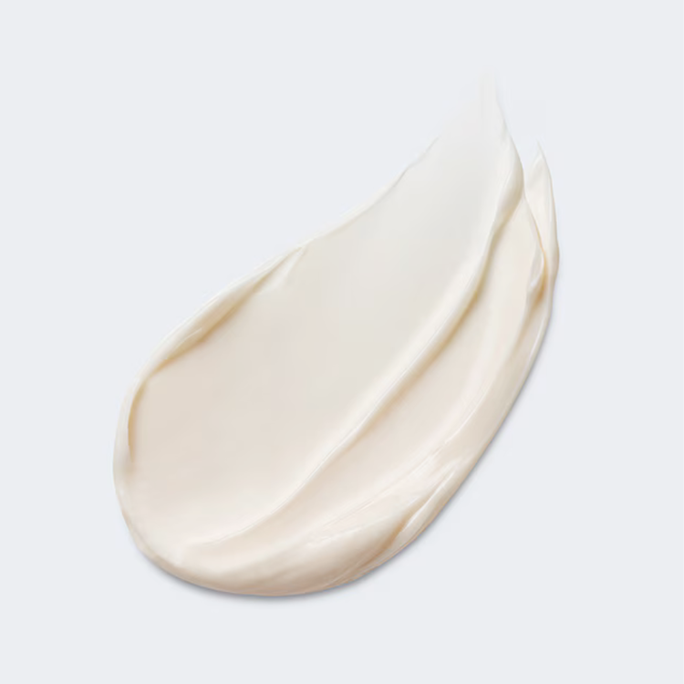 Estee Lauder Estee Lauder Advanced Night Repair Overnight Treatment