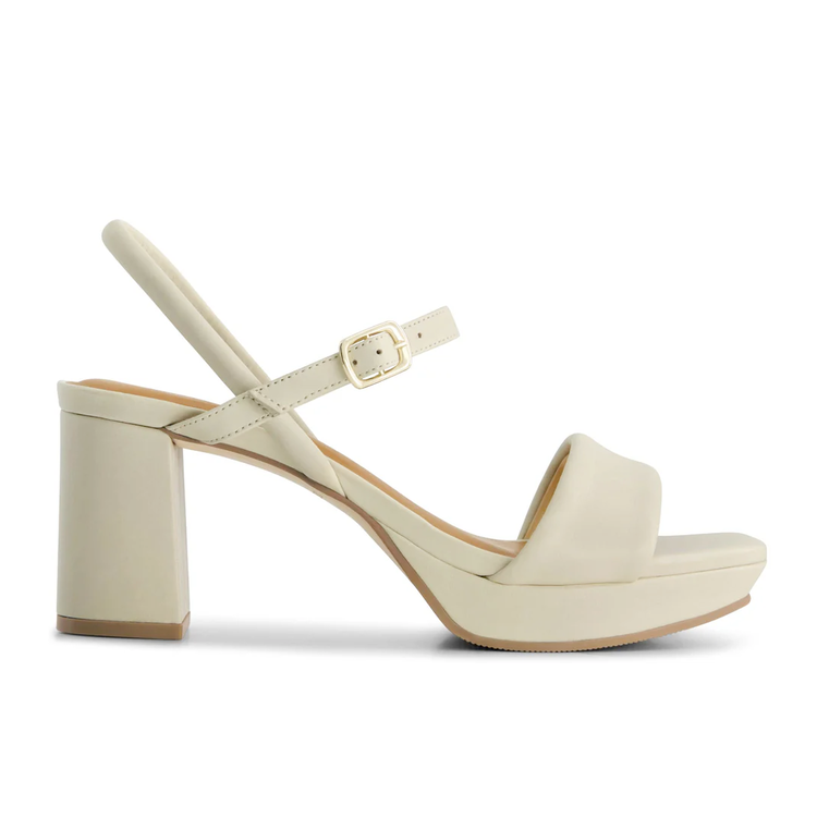 Bernardo Bernardo Canto