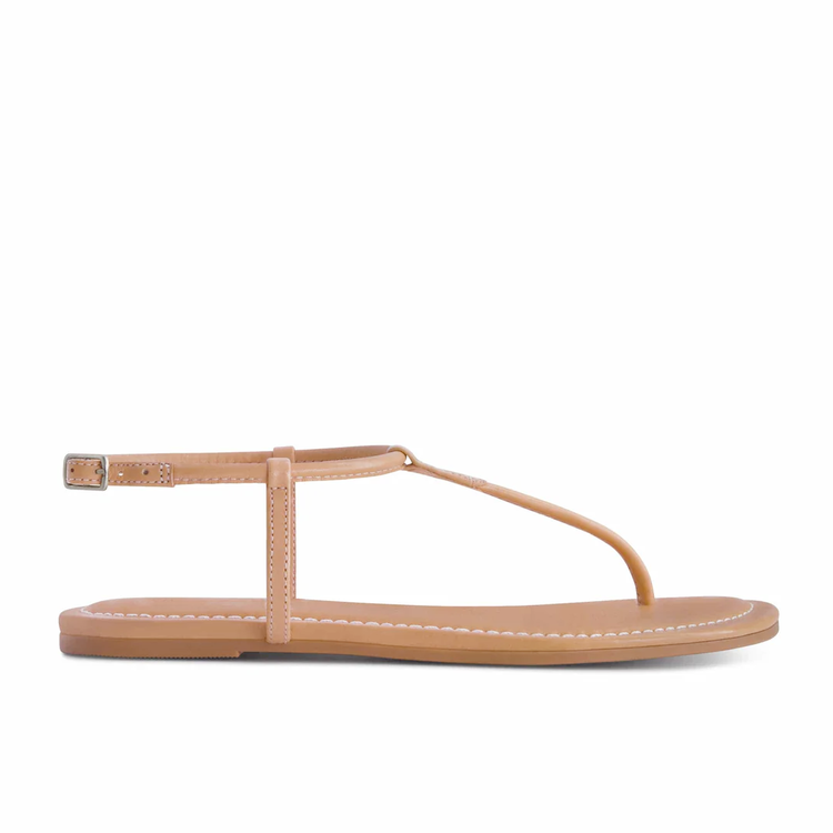 Bernardo Bernardo Hercu