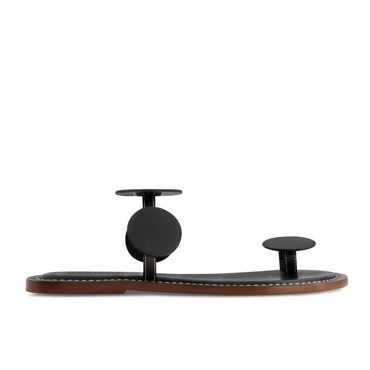 Bernardo Bernardo New Moon