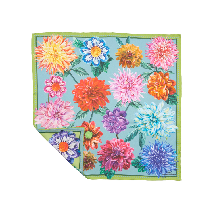 Echo Echo Dahlias In Boom