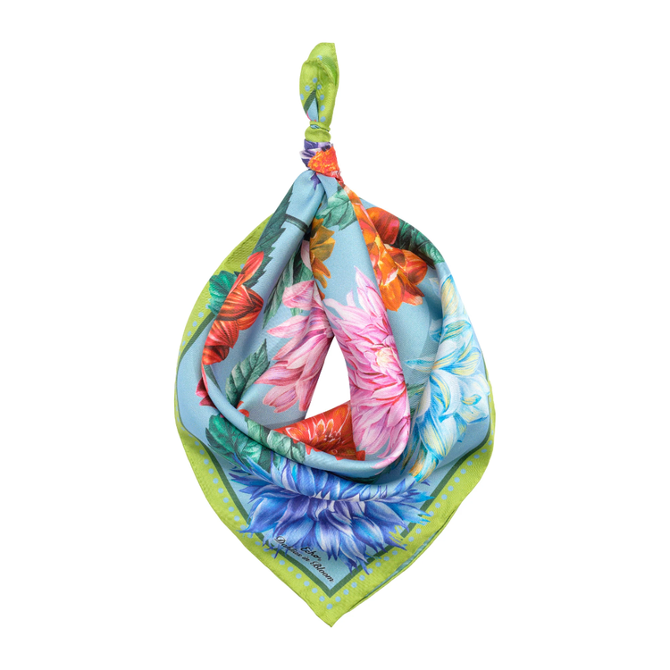 Echo Echo Dahlias In Boom