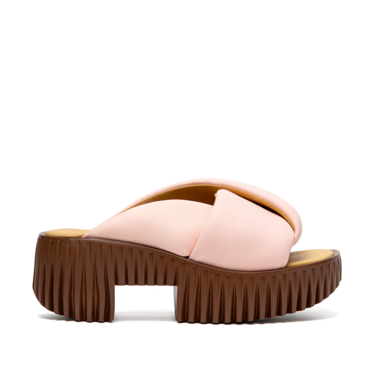 4CCCCEES 4CCCCEES Plia Anda