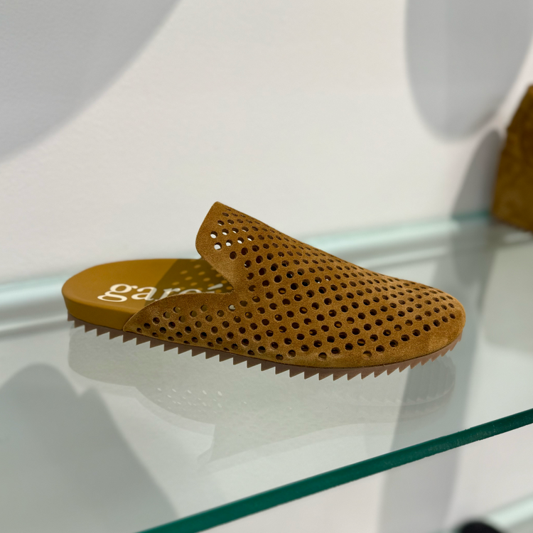 Pedro Garcia Pedro Garcia Braidy