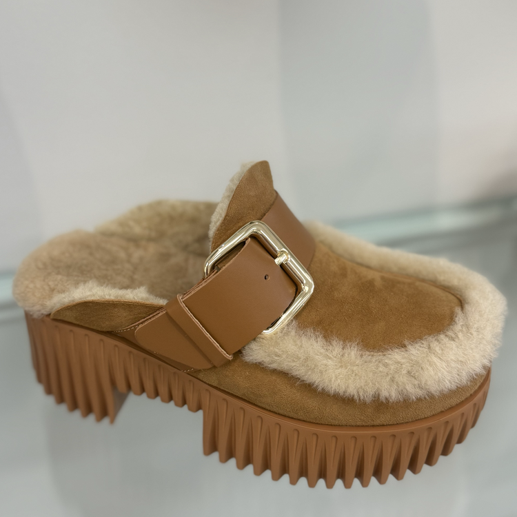 4CCCCEES 4CCCCEES Pila Amber