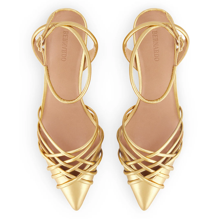 Bernardo Bernardo Minu