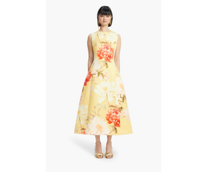 chinese dress ladies Cleo Appliqu Sleeveless Midi Dress
