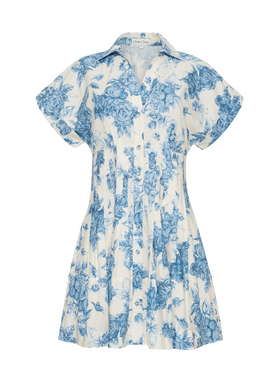 Cara Cara Cara Cara Nash Mini Dress