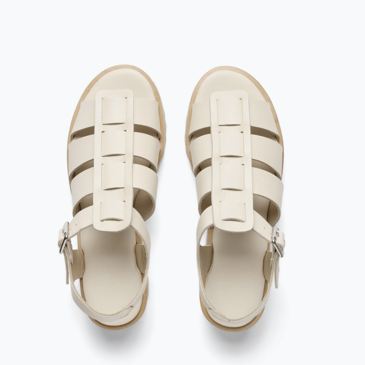 Frēda Salvador Frēda Salvador Darya