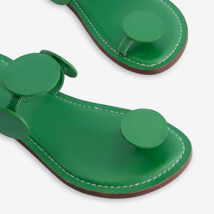 Bernardo Bernardo New Moon