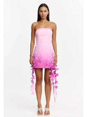 Acler Acler Sandia Mini Dress
