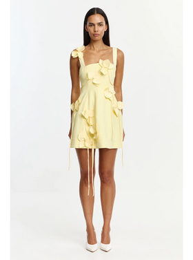 Acler Acler Reeve Mini Dress