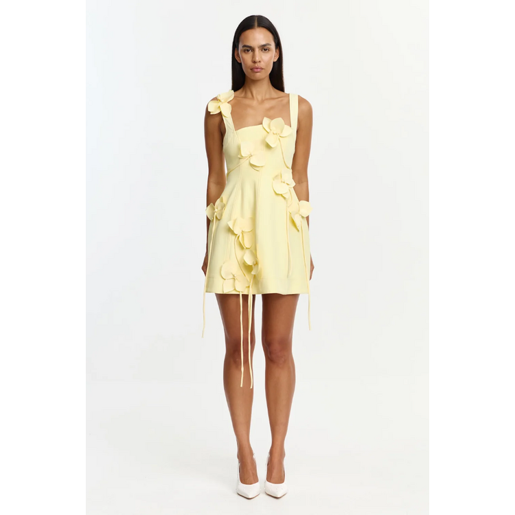 Acler Acler Reeve Mini Dress