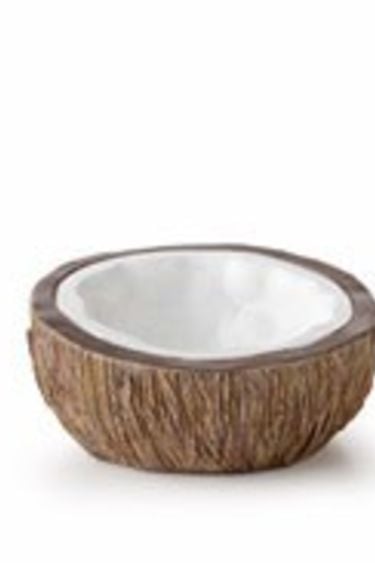 Exoterra Coconut water dish