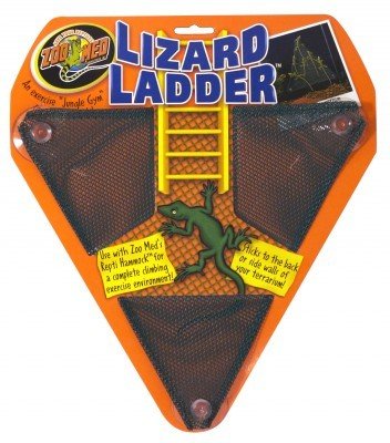 Zoomed Lizzard ladder