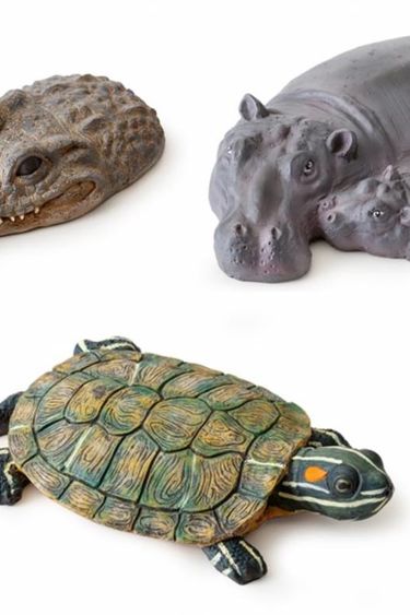 Exoterra EXO TERRA Île à tortue