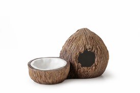 Exoterra Cachette et bol à eau en forme de noix de coco