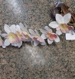 Pet-Tekk White Orchid 15''